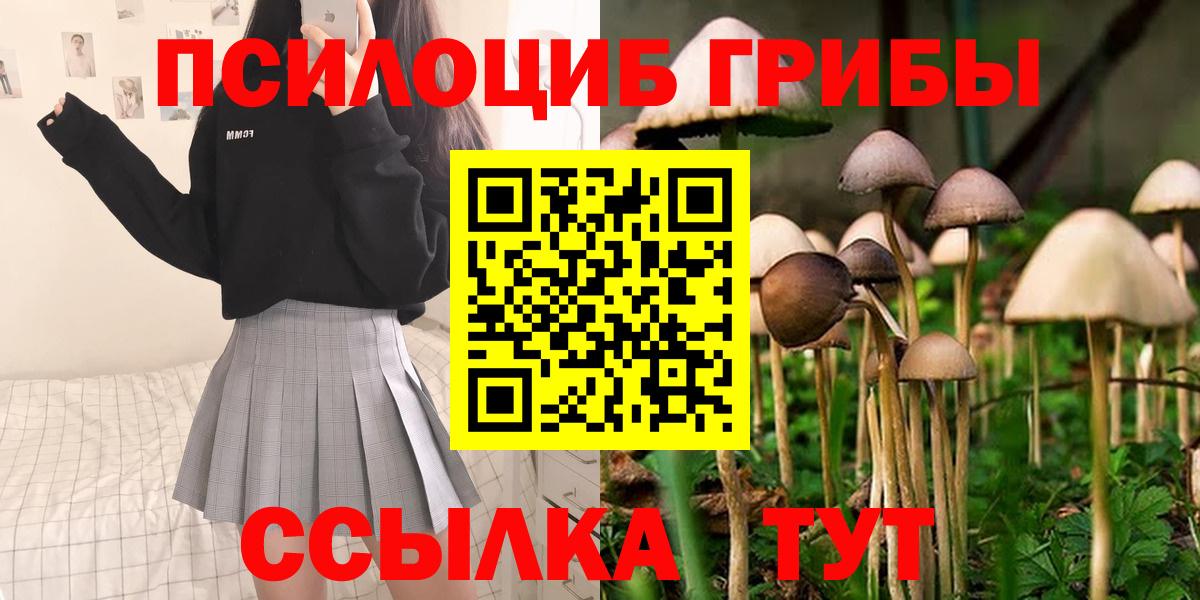 Узловая  Галлюциногенные грибы прущие грибы  Вход с VPN 