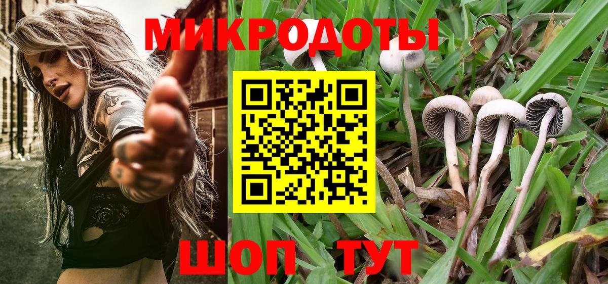 Галлюциногенные грибы Psilocybine cubensis Узловая